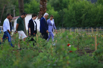 Muğla'da Tıbbi Bitkiler Koleksiyon Bahçesi’ne yakın mercek