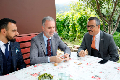 İnegöl’de ceviz hasadı başladı