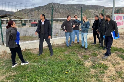 Kütahya'da sokak hayvanlarına belediye şefkati