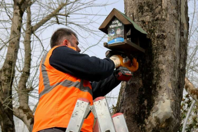 Sakarya'nın kuş yemlikleri yürekleri ısıttı