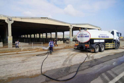 Şap hastalığına karşı Diyarbakır'da dezenfekte