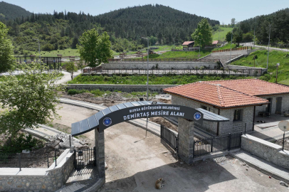 Demirtaş mesire alanı yaza hazırlanıyor
