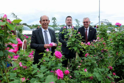 'Edirne Gülü'ne şenlikli hasat