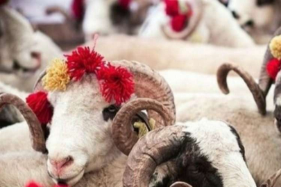 Diyanet'ten kurban hizmetleri tebliği