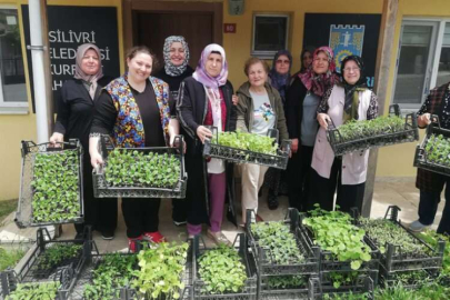 Silivri'de kursiyer kadınlara 80 bin fide
