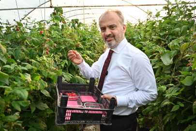 Bursa’nın yükselen değeri; tarım