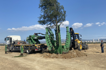 Bursa’da yeşil transferi sürüyor