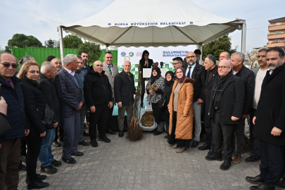 Bursa Büyükşehir’den üreticiye fide ve fidan desteği