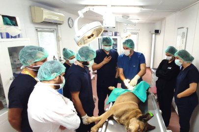 Osmangazi’de can dostlar emin ellerde