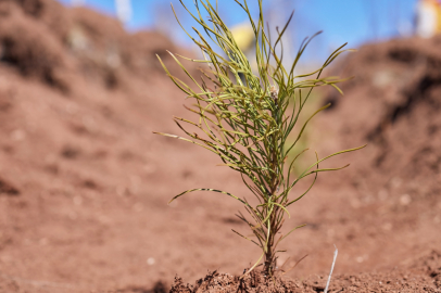 Uludağ Elektrik doğaya katkı sağlıyor