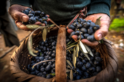 Gemlik'in en güzel fotoğraflarını çektiler