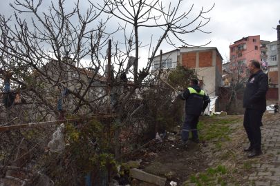Gemlik'te kapsamlı temizlik