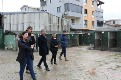 Başkan Deviren: Patili canlar için işbirliği yapalım