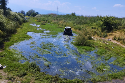 Sinekle mücadele tüm hızıyla sürüyor