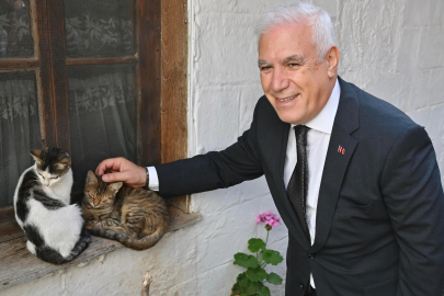 Bursa Büyükşehir patili dostların yanında