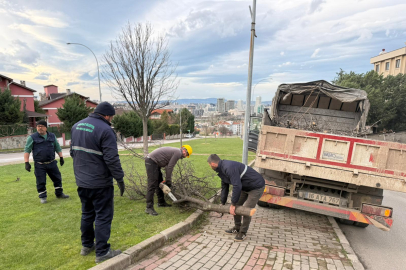 Şiddetli lodosun devirdiği ağaçlara Osmangazi Belediyesi’nden anında müdahale