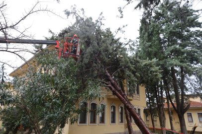 Büyükşehir ekipleri, şiddetli rüzgara karşı sahada