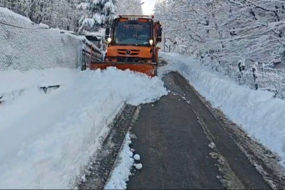 Osmangazi’de tuzlama seferberliği