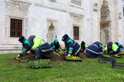 Bursa kışın da çiçek bahçesine dönüşüyor