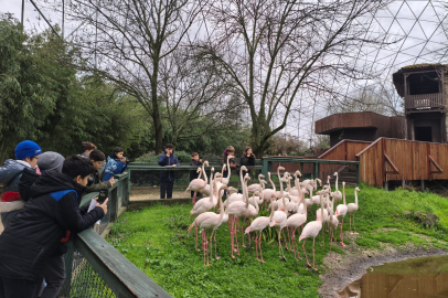 Doğa dedektifleri iz peşinde
