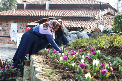 Osmangazi’nin her bir noktası çiçek açtı