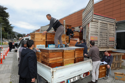 Arıcılık Bursa'da Büyükşehir'le 2026 yılında canlandı