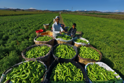 Başkan Ercan Özel: “Tarımı geliştiren, sanayiyi ve ticareti birlikte büyüten bir anlayışla ilerliyoruz”