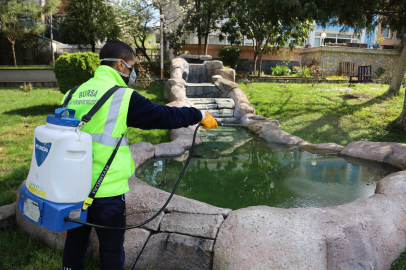Sinek ve haşereyle etkin mücadele