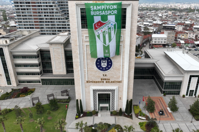 Bursa yeşil beyaza büründü