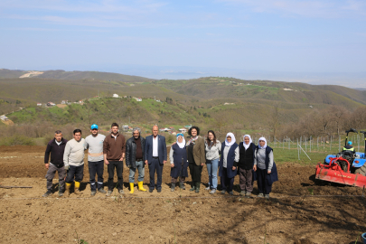 Nilüfer’de atıl araziler bereketleniyor