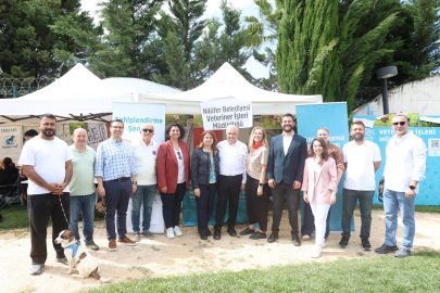 Sahiplendirme Şenliği’nde can dostlara yeni yuva