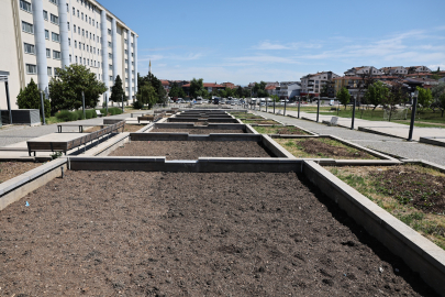 Nilüfer’de atıl süs havuzları kent bahçesine dönüşüyor