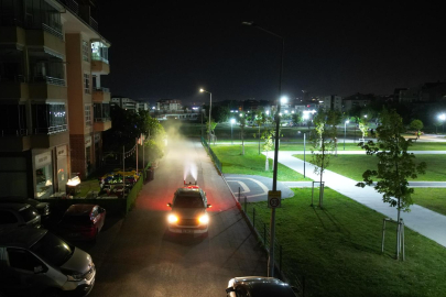 Sinek ve haşerelere karşı yoğun mücadele