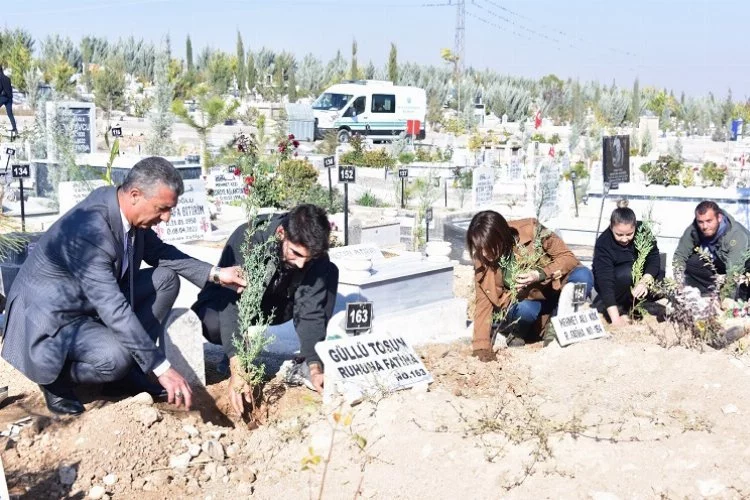 Malatya'da şehir mezarlığına fidan dikildi