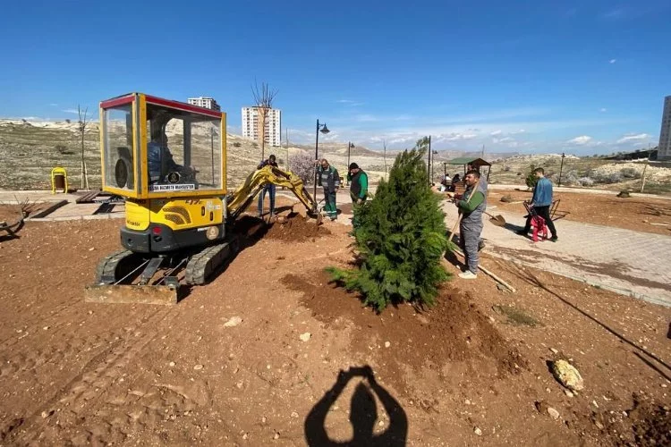 Mardin Artuklu Belediyesi kenti yeşillendiriyor